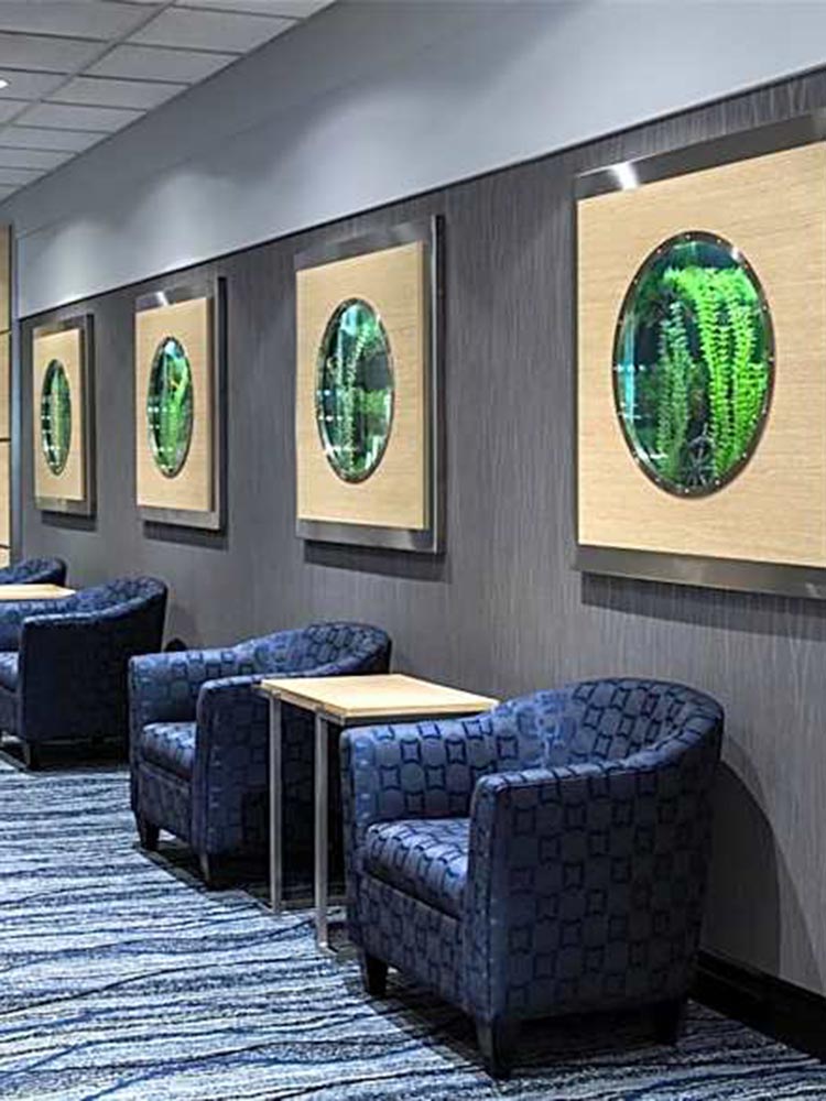 Front entrance area of the Birchwood Inn in Winnipeg, Manitoba. Revive Millwork completed the millwork around the four fish tanks on the wall above the seats in the reception area.