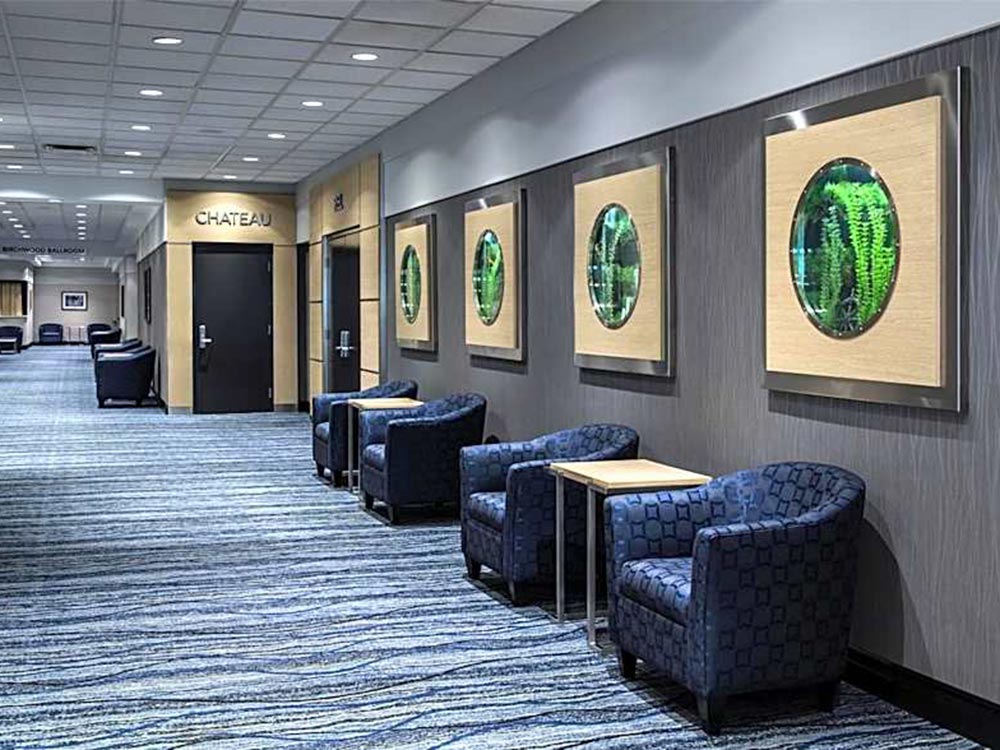 Front entrance area of the Birchwood Inn in Winnipeg, Manitoba. Revive Millwork completed the millwork around the four fish tanks on the wall above the seats in the reception area.